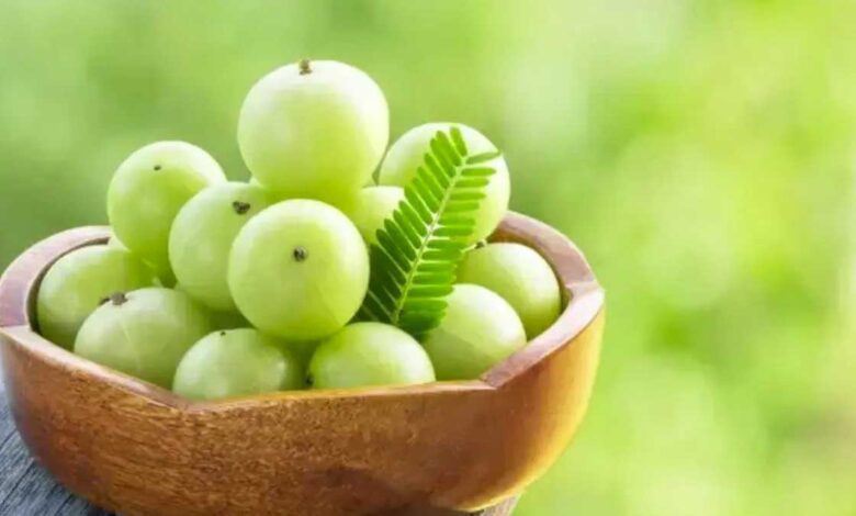 Amla the health-promoting versatile fruit