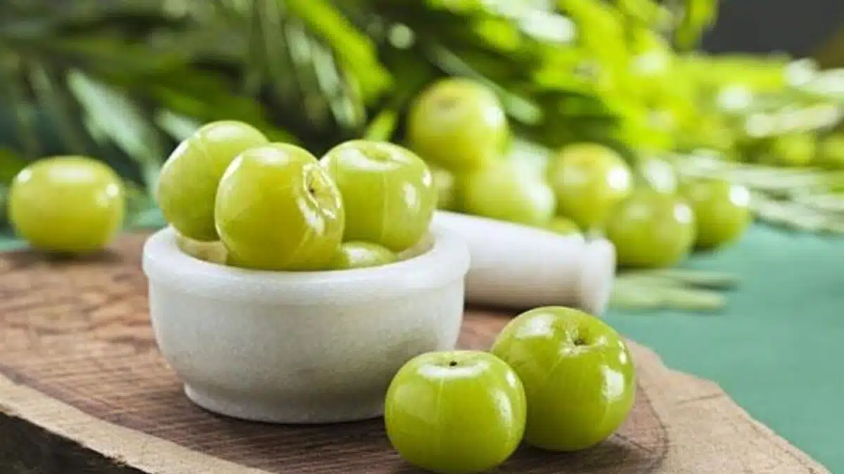 Amla the health-promoting versatile fruit