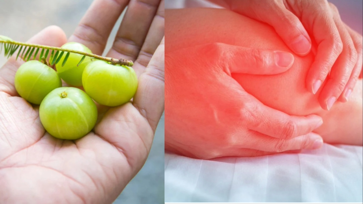 Amla: Health Benefits and Amazing Advantages of Consuming It