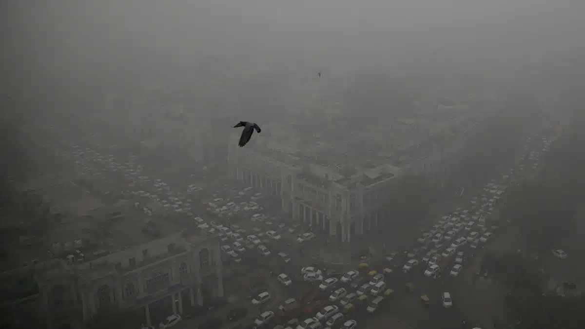 BJP's Shehzad Poonawalla reached Smog Tower to protest against Delhi's air pollution