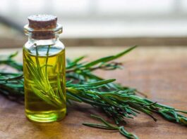 Benefits and Uses of Rosemary Oil