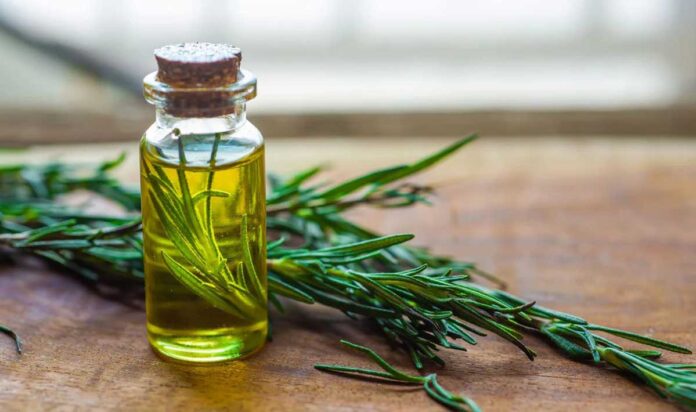 Benefits and Uses of Rosemary Oil