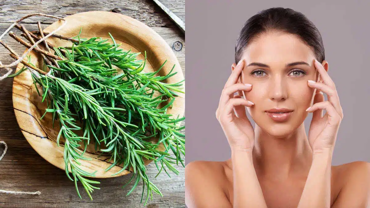 Benefits and Uses of Rosemary Oil