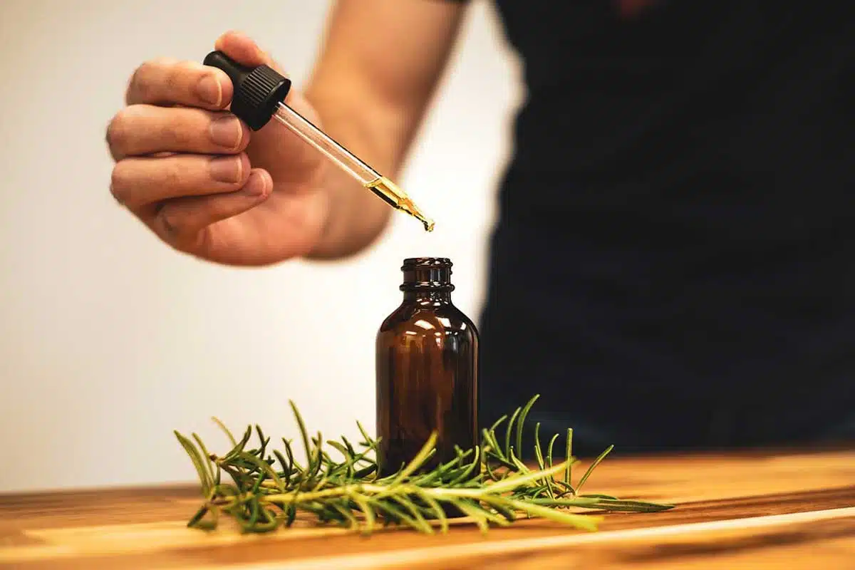 Benefits and Uses of Rosemary Oil