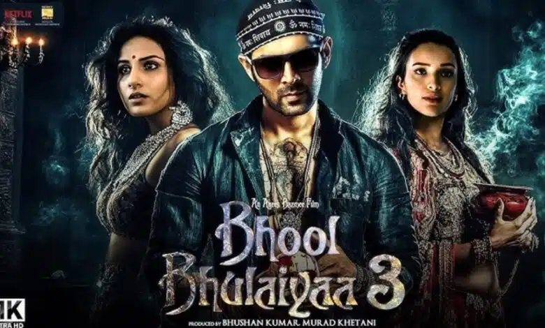 Bhool Bhulaiyaa 3