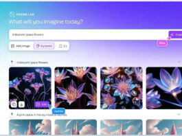 Canva launches Dream Lab AI image generator and updates Visual Suite with new features