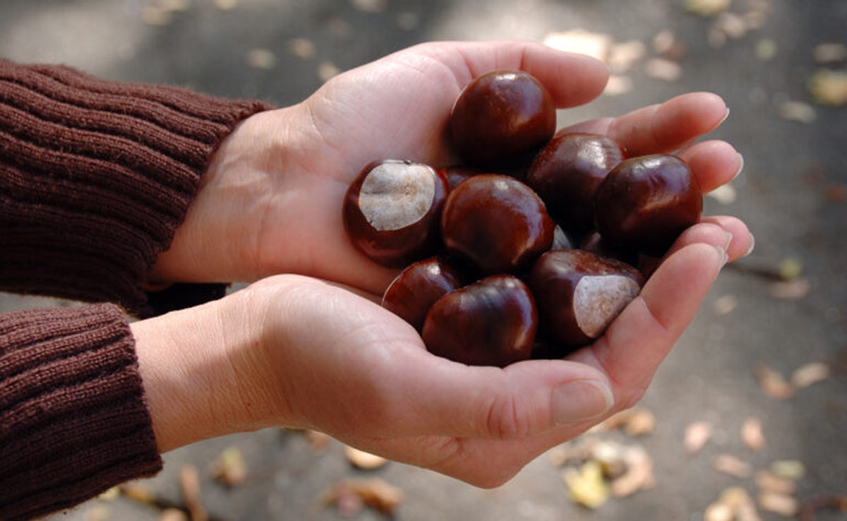 Diabetes: Consume this dry fruit to reduce high blood sugar level