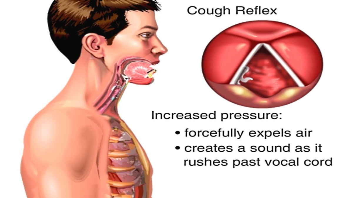 detailed-information-Cough-definition