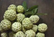 Custard Apple Nature Creamy Delight