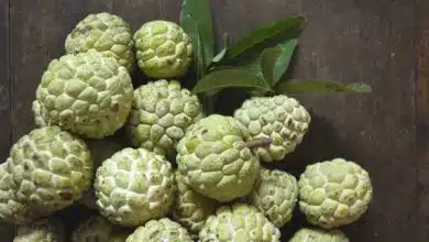 Custard Apple Nature Creamy Delight
