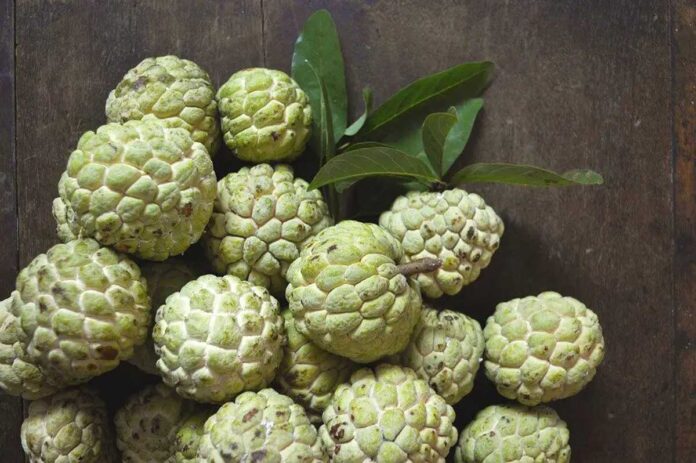 Custard Apple Nature Creamy Delight