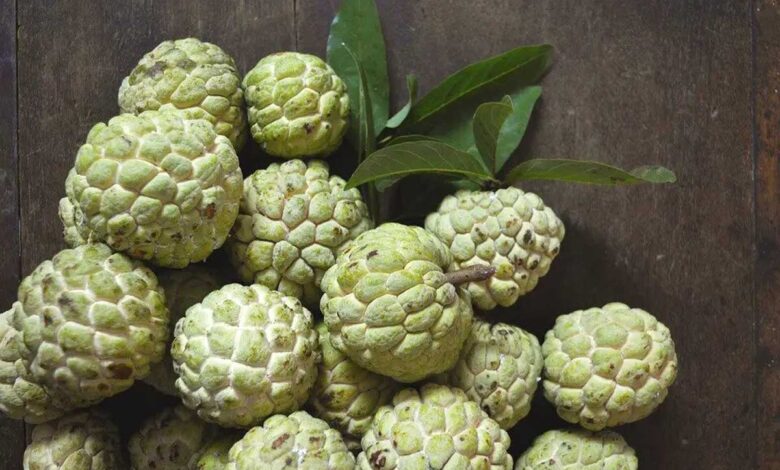 Custard Apple Nature Creamy Delight