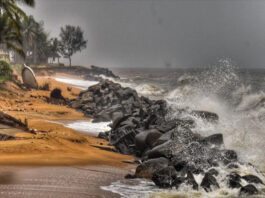 Cyclone Dana: 20 NDRF teams deployed in Odisha, 13 teams in Bengal, local trains cancelled.