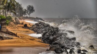 Cyclone Dana: 20 NDRF teams deployed in Odisha, 13 teams in Bengal, local trains cancelled.