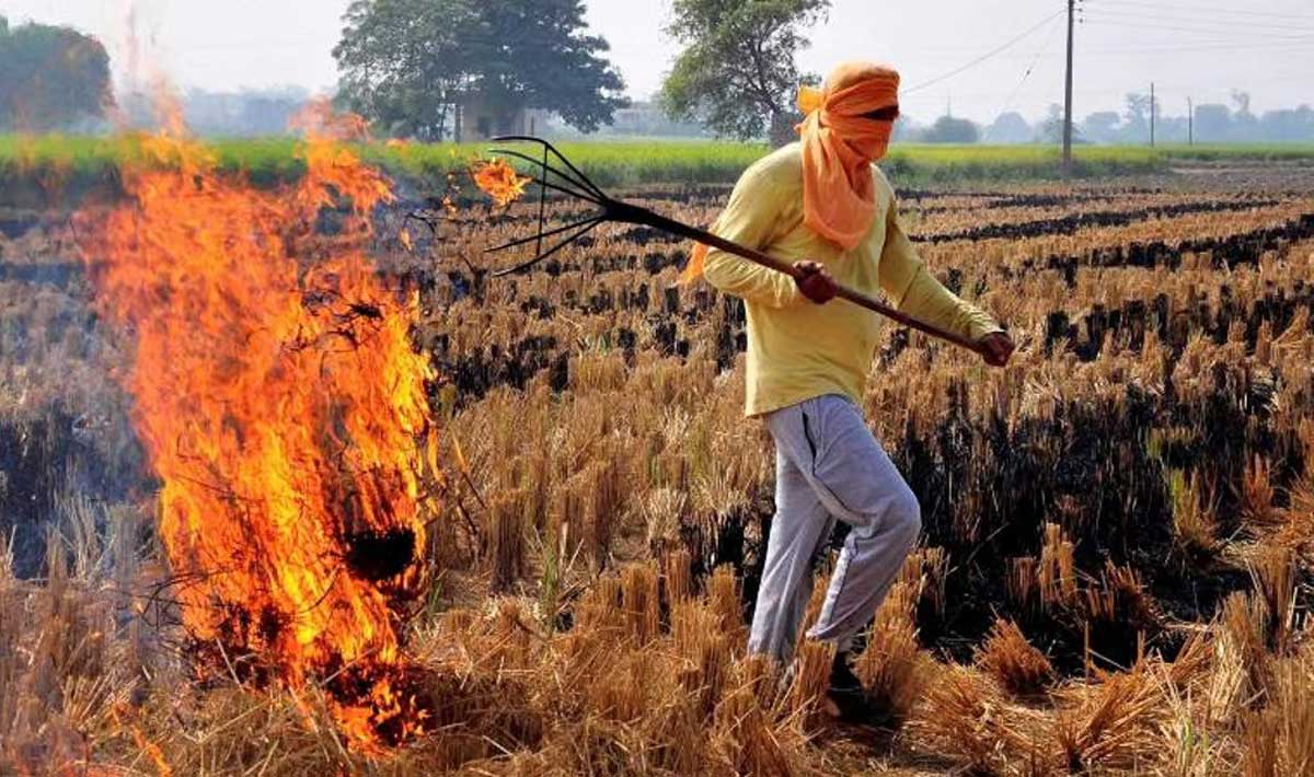 Delhi minister Gopal Rai said that burning of stubble can increase pollution level