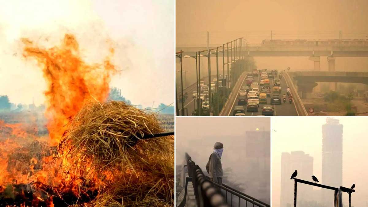 Delhi minister Gopal Rai said that burning of stubble can increase pollution level