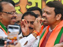 Devendra Fadnavis said about Maharashtra assembly elections