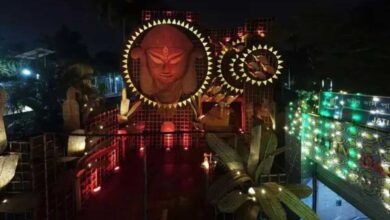 Durga Puja is being celebrated on the theme of shuddhi in Kolkata Hazra Park