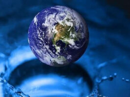 Why is water an essential substance on Earth?