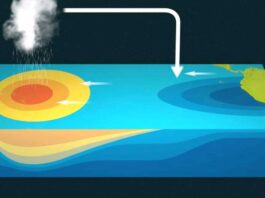 What is El Nino, analyze its effects?