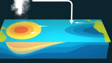 What is El Nino, analyze its effects?