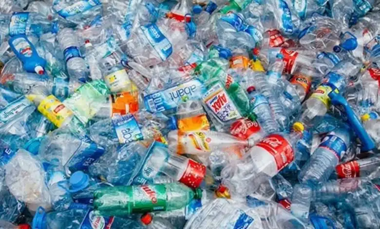 Measures to protect environment in India