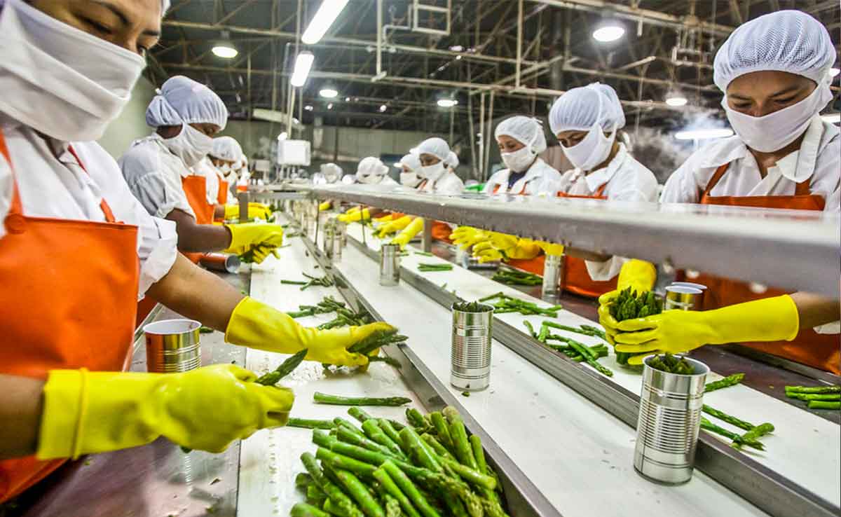 Food Processing Industry Current Industry Status in India