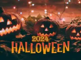 Halloween Day 2024 Haunted Festival Trip