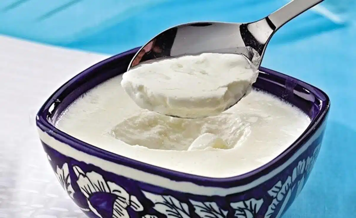 
Can curd help you in weight loss? Know 10 benefits of eating curd