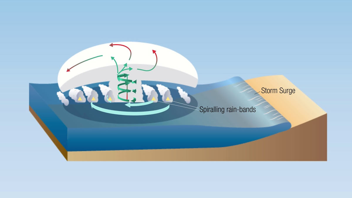 Science behind cyclones: Damage to their structure