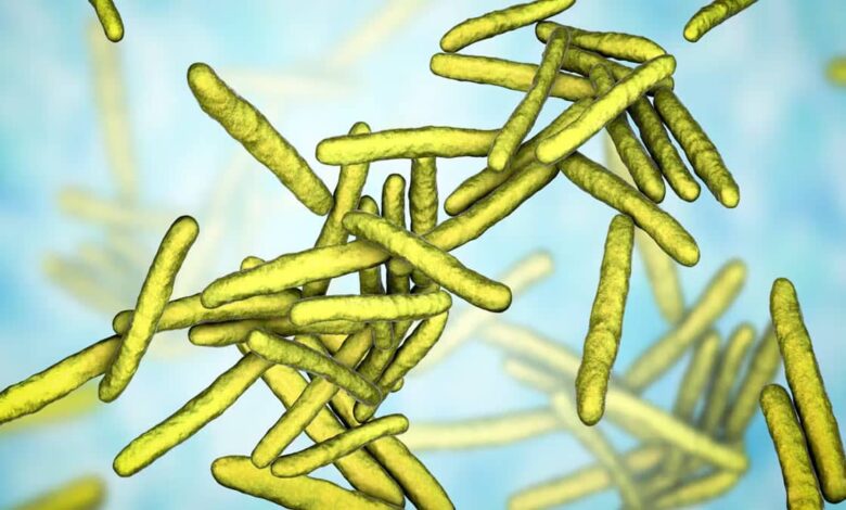 How Can They Raise Awareness About Leprosy?