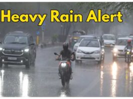 IMD warns of heavy rains and thunderstorms in Tamil Nadu