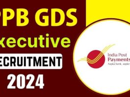 IPPB Executive Recruitment 2024 Registration Begins for 344 Vacancies, Check Details