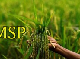 India increased MSP on 6 crops