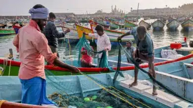 Sri Lanka: Navy caught 12 Indian fishermen, total 462 arrests this year