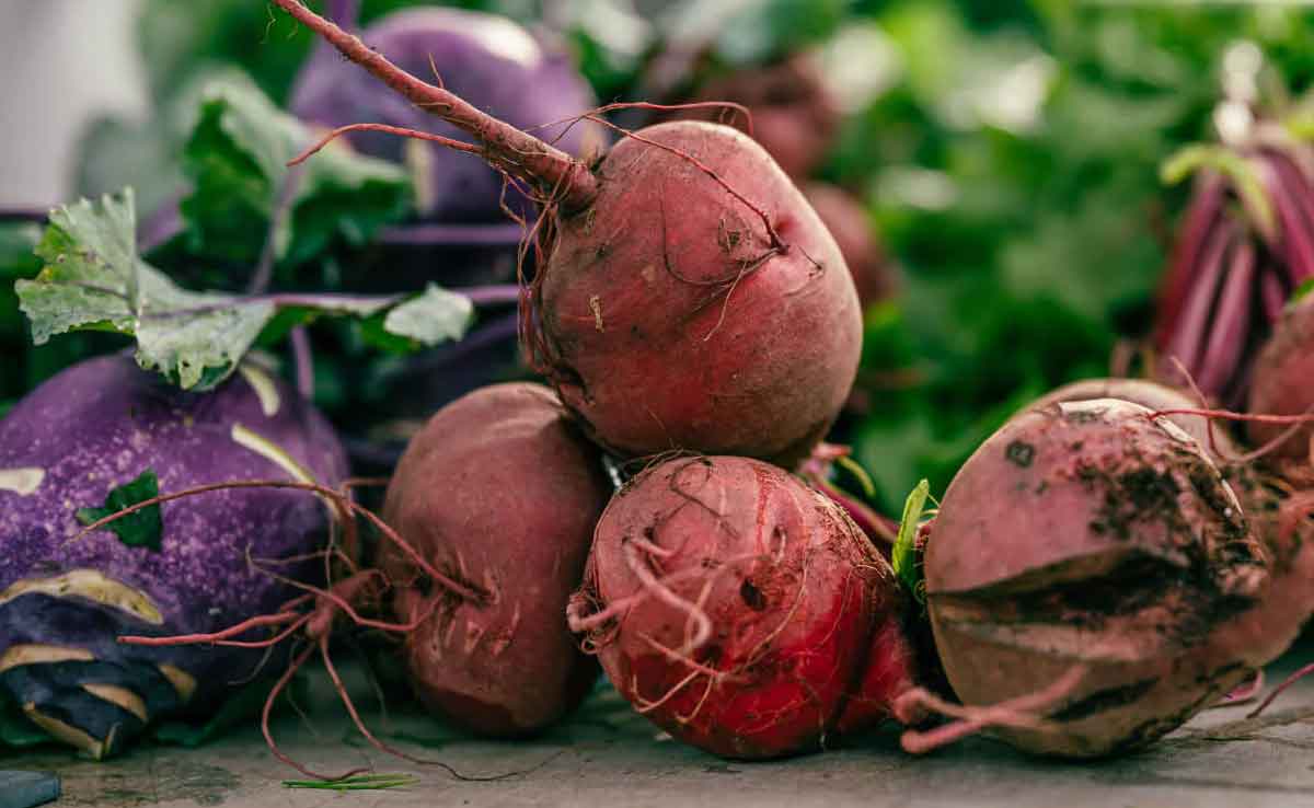 Information related to beetroot cultivation