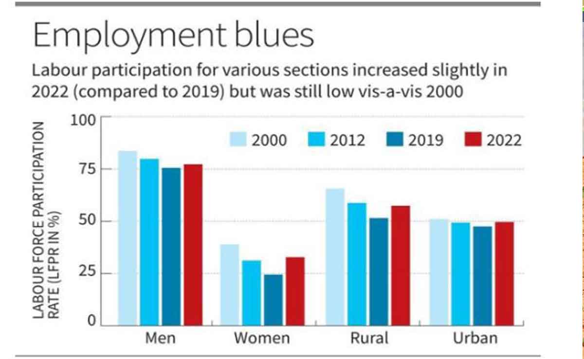 Women in Food Processing: A Growing Impact