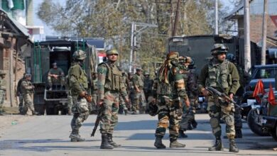 Jammu-Kashmir: Terrorists killed non-local in Shopian