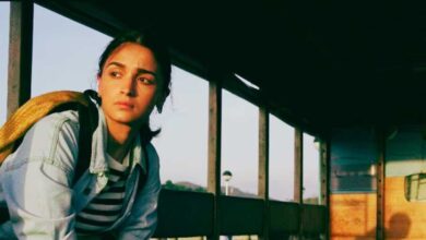 Jigra box office collection on 3rd day Rs 5.65 cr