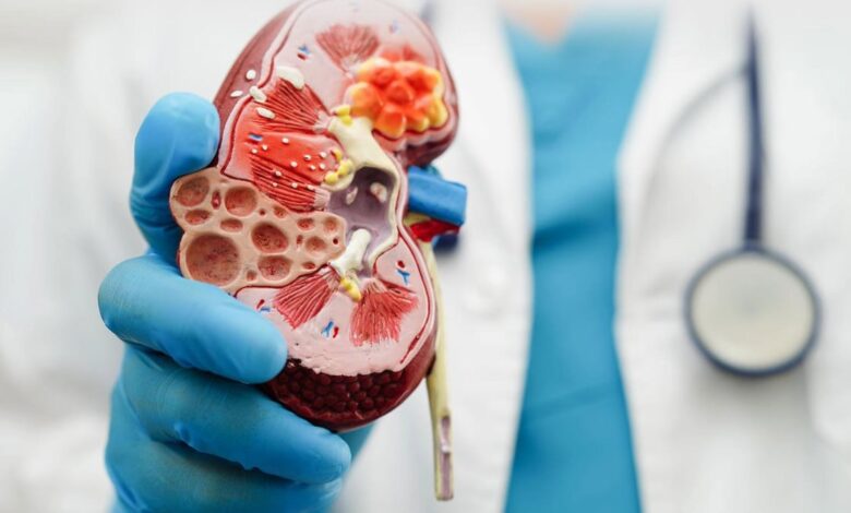 What is kidney disease?