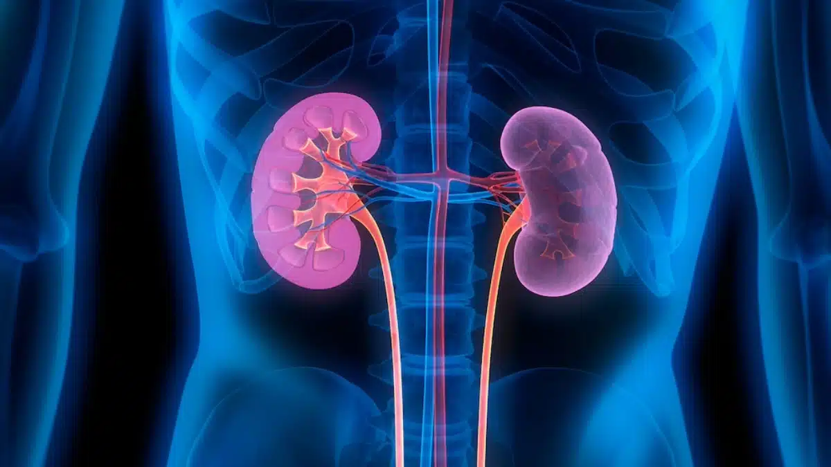 What is kidney disease?