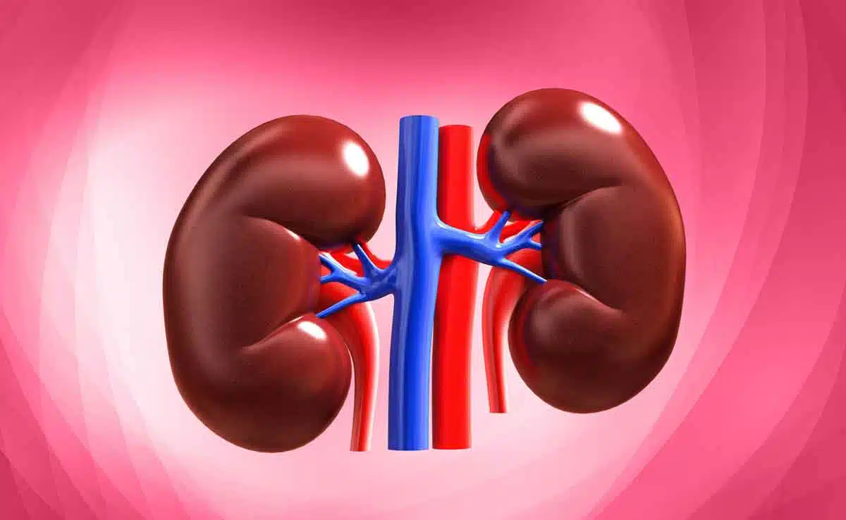 How to take care of your kidneys during winter