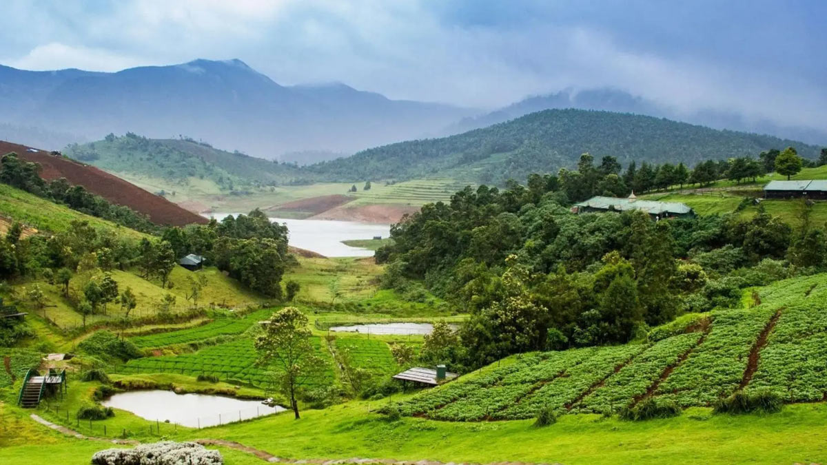 
6 Popular Hill Stations in South India to Enjoy This Winter