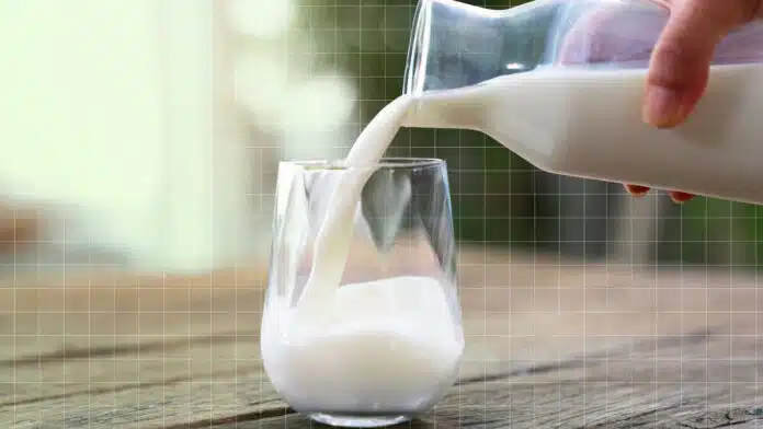 What can we make from milk?