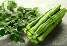 Moringa for Diabetes: Can Drumstick Control High Blood Sugar Levels?