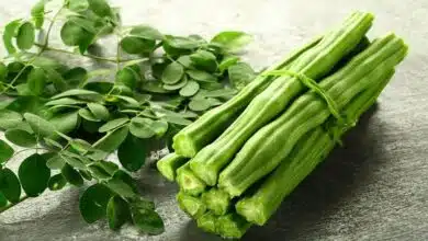 Moringa for Diabetes: Can Drumstick Control High Blood Sugar Levels?