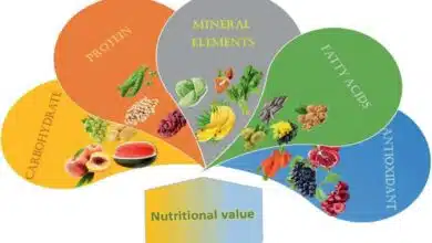 What Is the Nutritional Value of White Pumpkin?