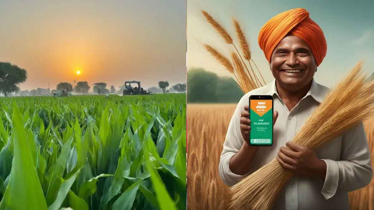 PM Kisan 19th Installment How to get ₹ 2000 benefit, check list