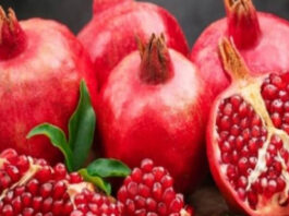 Pomegranate: A nutritious and medicinal fruit