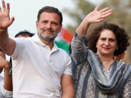 Congress fields Priyanka Gandhi Vadra from Wayanad for assembly by-elections